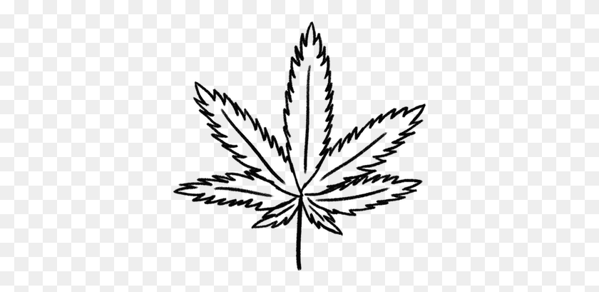 354x349 Weed Watch Blog Cannabis Support - Marijuana Leaf PNG