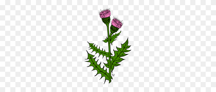 183x299 Weed With Pink Buds Png Clip Arts For Web - Weeds PNG