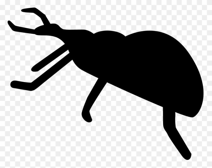 800x622 Weevil Clipart - Cotton Boll Clipart