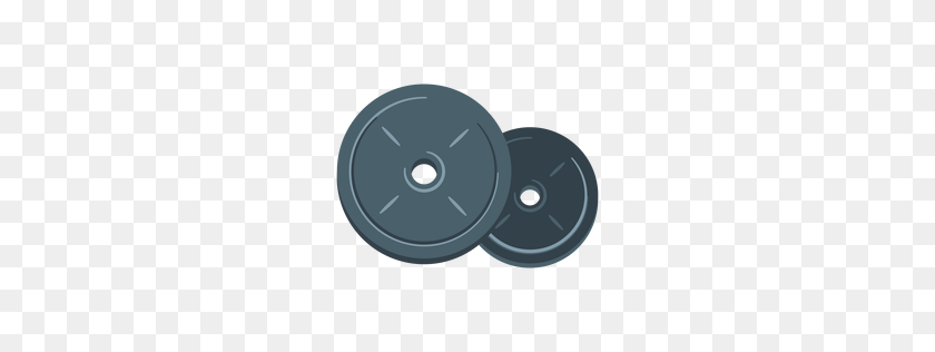 256x256 Weight Plate Icon - Weights PNG