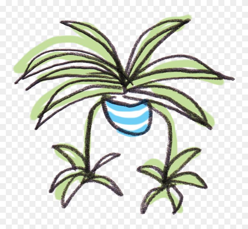 1000x917 Welcome To Spiderplant, Houseplant Shop - Terrarium Clipart