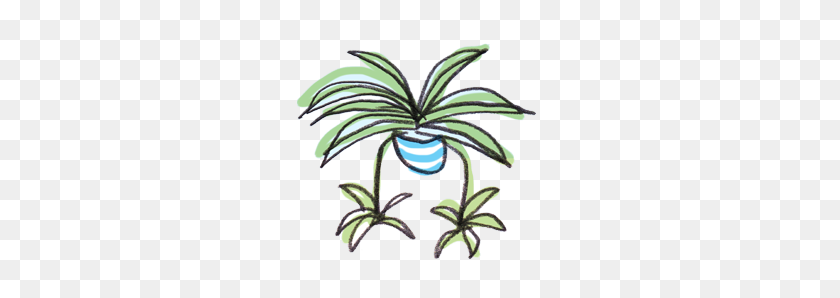 300x238 Welcome To Spiderplant, Houseplant Shop - House Plant PNG