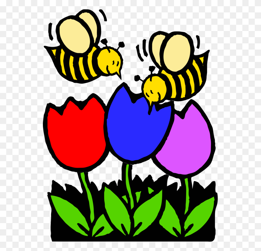 563x750 Western Honey Bee Coloring Book Colouring Pages Flower Free - Oregon Trail Clipart