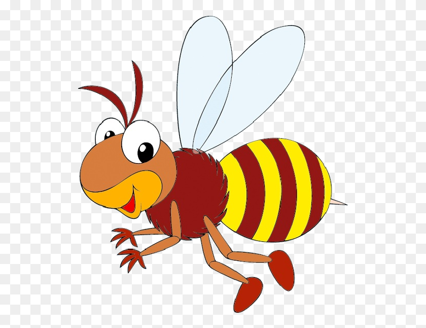 533x586 Западная Медоносная Пчела, Жизненный Цикл Медоносной Пчелы, Зажим Для Шмеля - Шмель Png