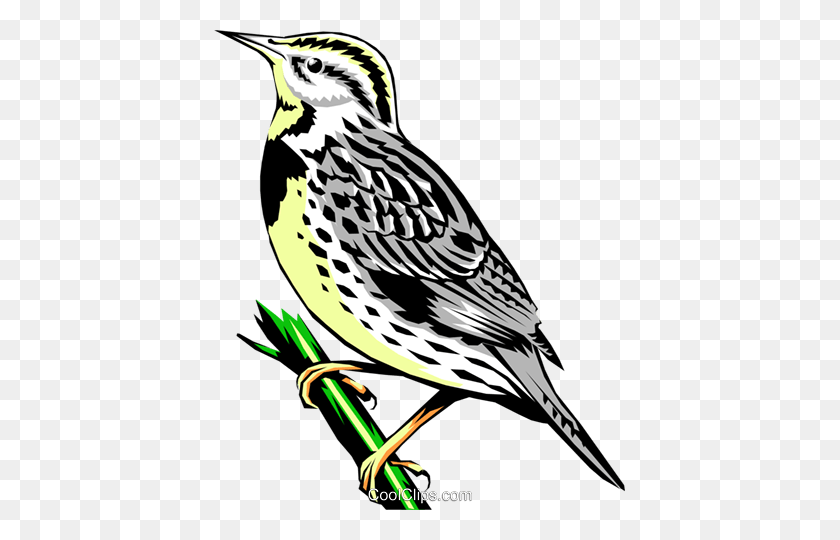 411x480 Western Meadowlark Royalty Free Vector Clip Art Illustration - Woodpecker Clipart