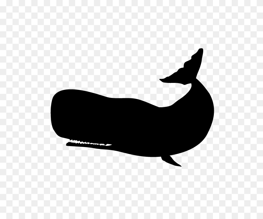 640x640 Whale Animal Silhouette Free Illustrations - Sperm Whale Clipart