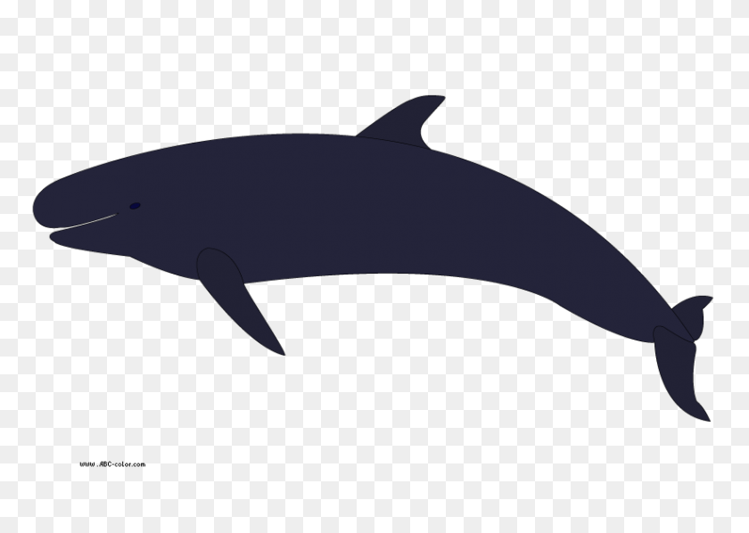 822x567 Whale Clip Art - Microphone Clipart No Background