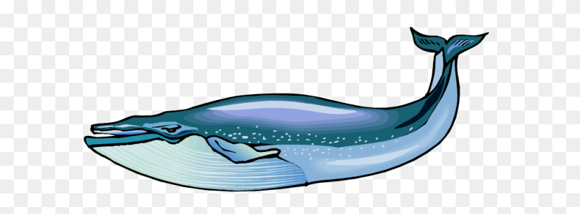 600x250 Whale Clip Art - Jet Ski Clipart