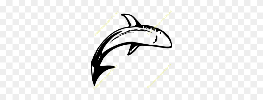 260x260 Whale Clipart - Shark Clipart PNG