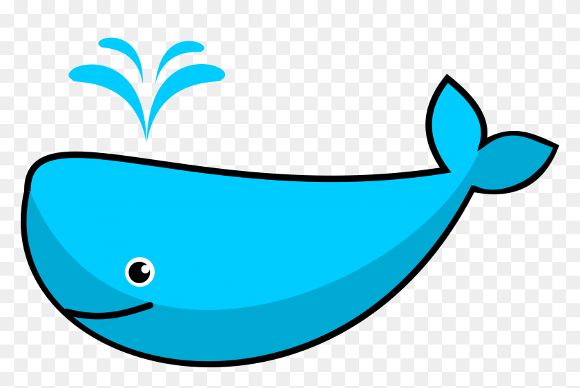 2400x1550 Whale Clipart Funny - Orca Clipart