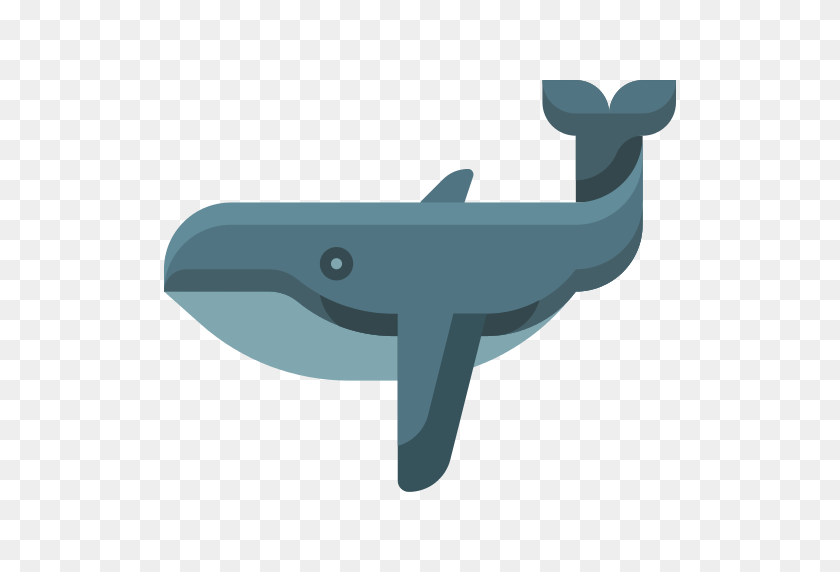 512x512 Whale Png Icon - Whale PNG