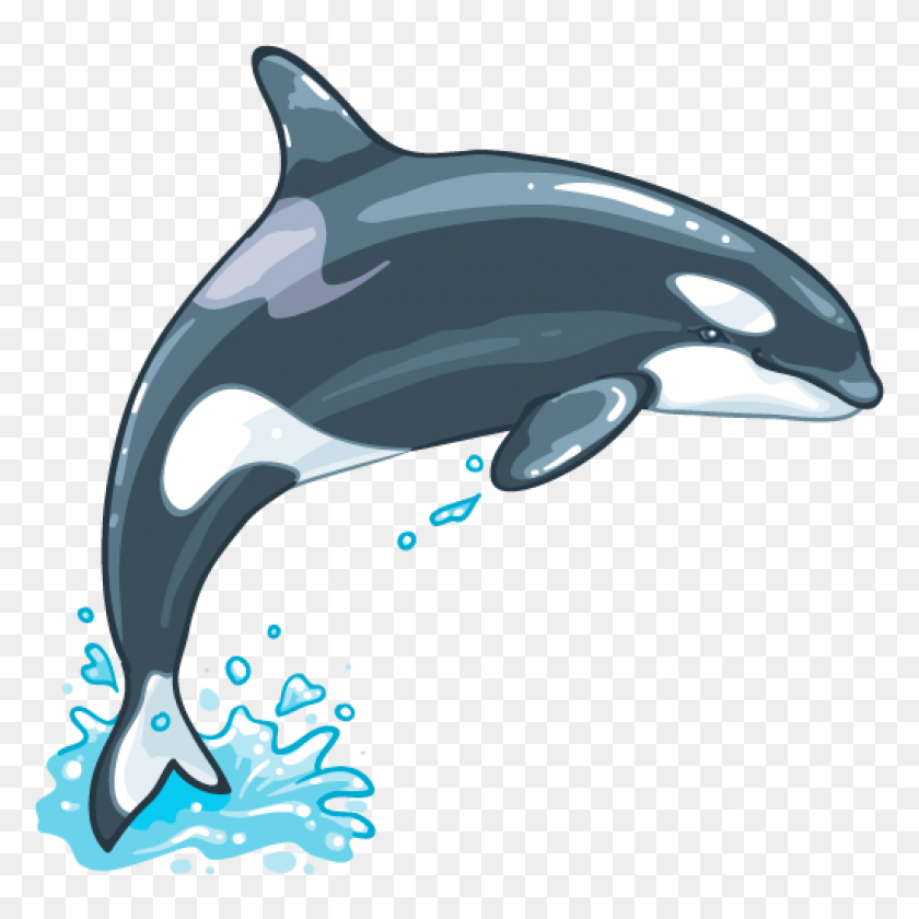 1024x1024 Whale Png Images Transparent Free Download - Blue Whale PNG