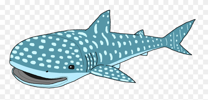1024x451 Whale Shark Clipart - Whale Shark Clipart