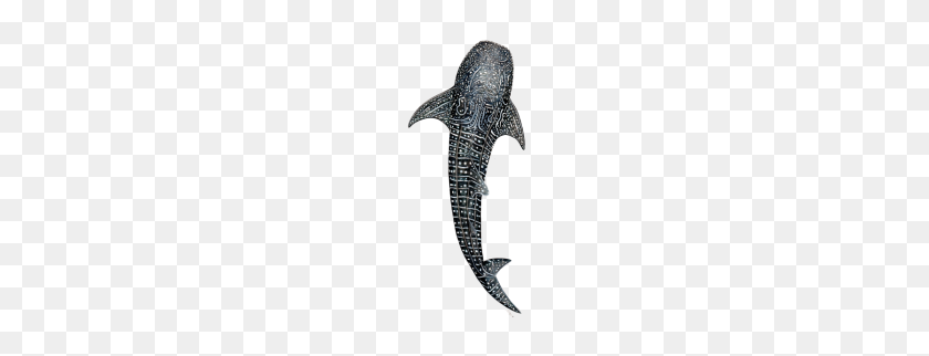 190x262 Whale Shark Design For Divers, Fishermen - Whale Shark PNG