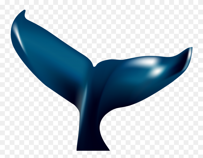 8000x6099 Whale Tail Clip Art - Whale Clipart PNG