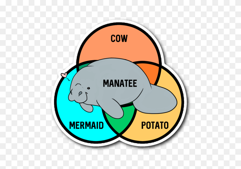 530x530 What Even Are Manatees Sticker Unlawful Threads - Mermaid Fin Clipart