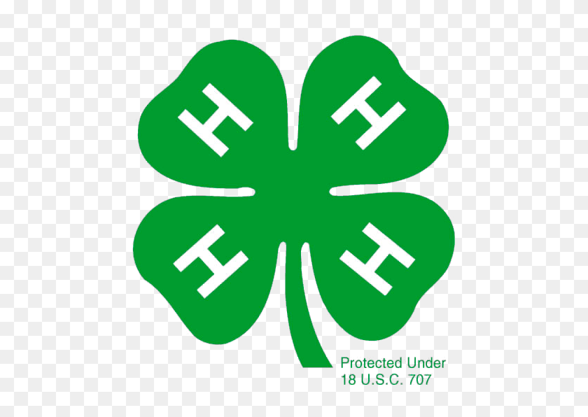 500x536 What Is H Seminole County - 4 H Clover Clip Art