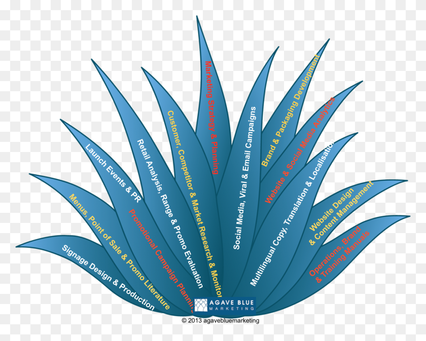 1465x1152 What We Do Agave Blue Marketing - Agave PNG