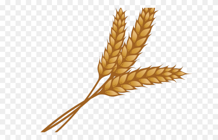 640x480 Wheat Clipart - Wheat Clipart Black And White