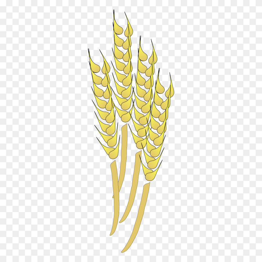 2400x2400 Wheat Clipart - Cereal Clipart