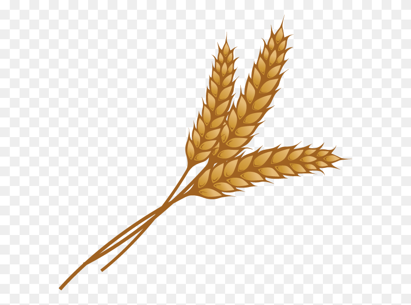 600x563 Пшеничный Клипарт Хороший Картинки - Пшеничный Клипарт