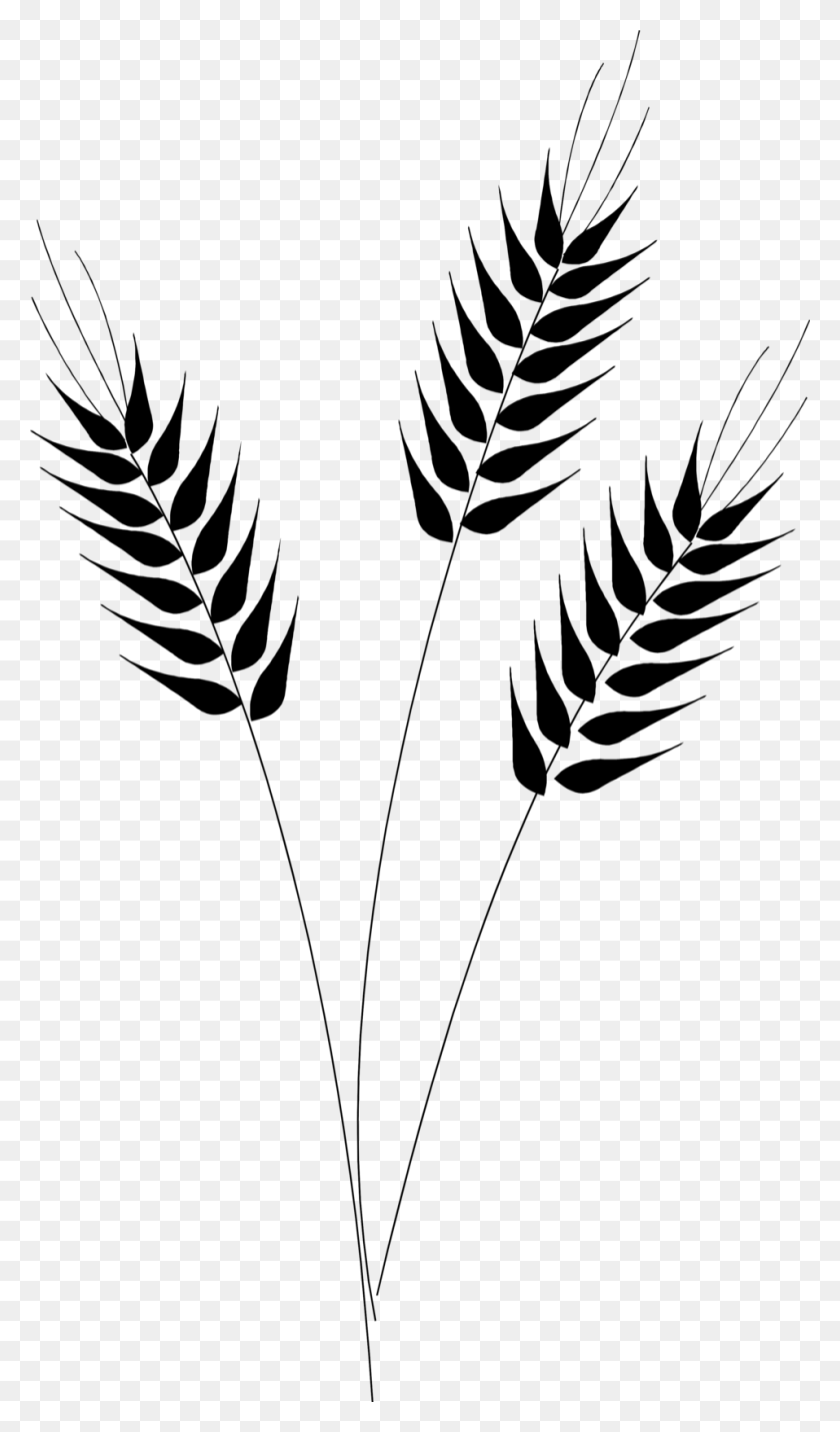 958x1684 Wheat Free Stock Photo Illustration Of Wheat - Whole Grains Clipart