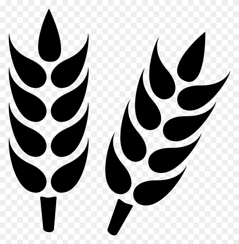981x1000 Wheat Grain Close Up Png Icon Free Download - Grain PNG