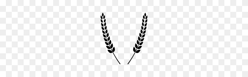 200x200 Wheat Icons Noun Project - Wheat PNG