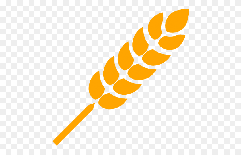 480x480 Wheat Png - Wheat Clipart