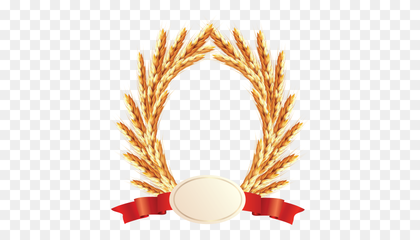 399x420 Wheat Png For Free Download Dlpng - Grain PNG