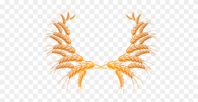 500x375 Wheat Png Images Free Download - Wheat PNG