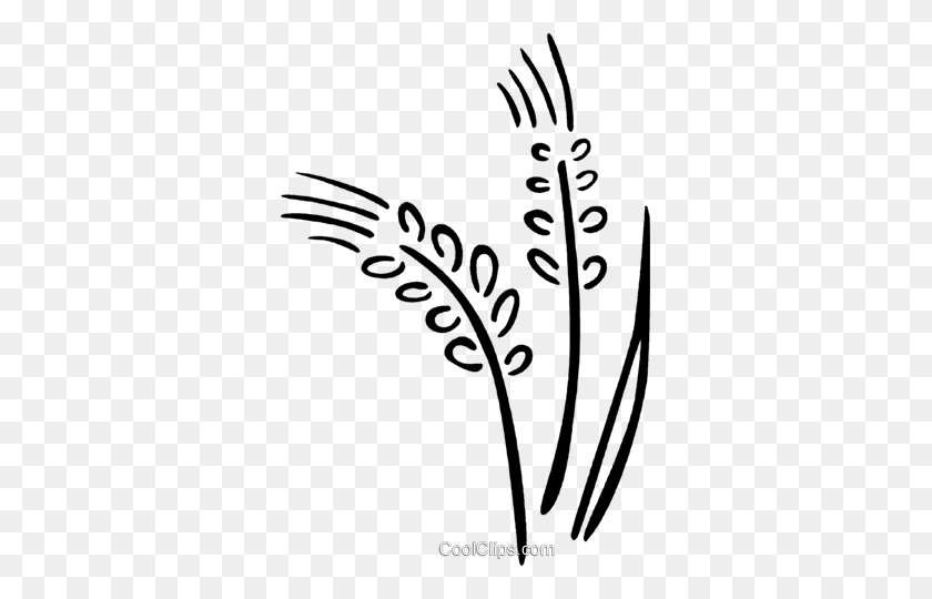 333x480 Wheat Royalty Free Vector Clip Art Illustration - Wheat Clipart Black And White