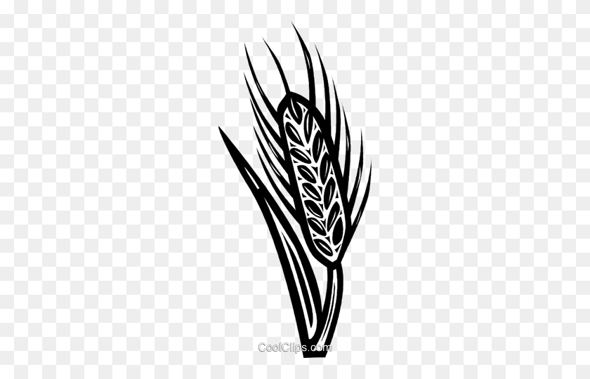 218x480 Wheat Royalty Free Vector Clip Art Illustration - Wheat Clipart Black And White