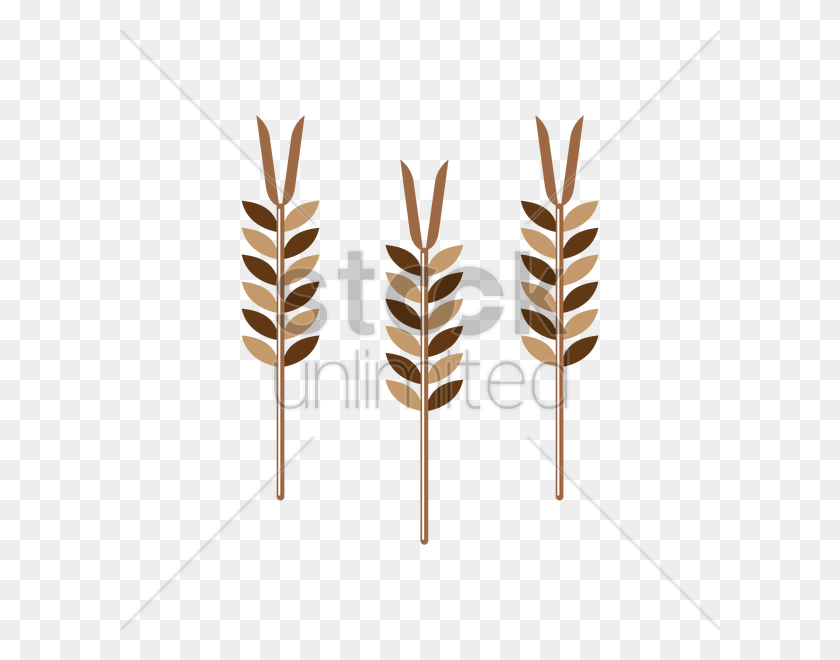 600x600 Стебли Пшеницы Векторное Изображение - Клипарт Стебли Пшеницы