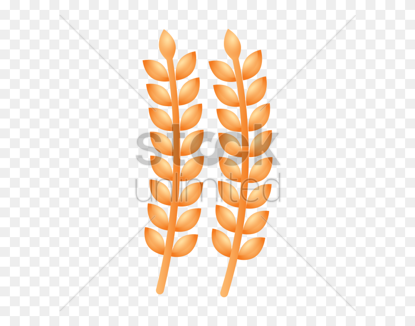 600x600 Wheat Vector Image - Wheat PNG