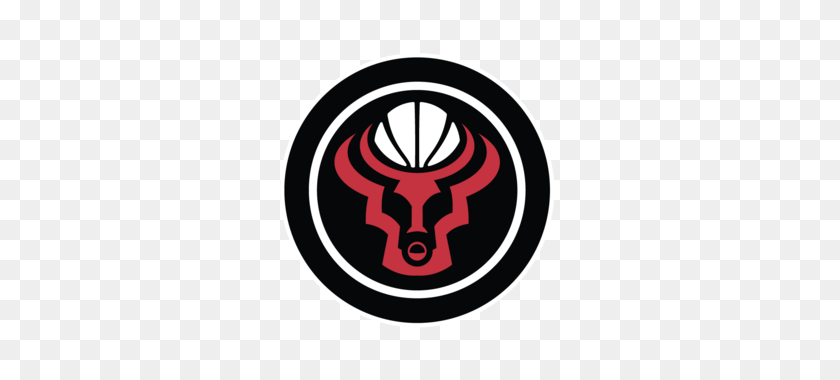 400x320 When Kelly Dwyer Writes About The Chicago Bulls, We Take Notice - Chicago Bulls Logo PNG