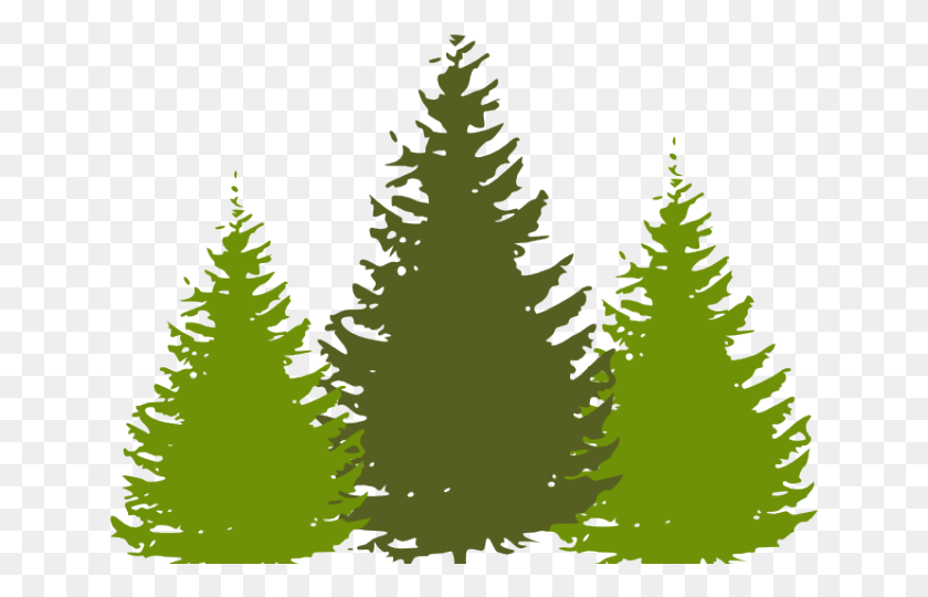640x480 Whimsical Tree Cliparts Free Download Clip Art - Redwood Tree Clip Art