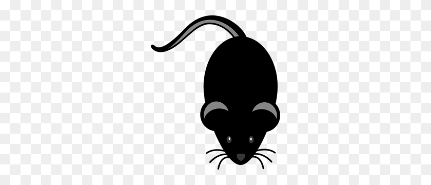 252x300 Whiskers Clipart Grey Mouse - Mouse Clipart Transparent