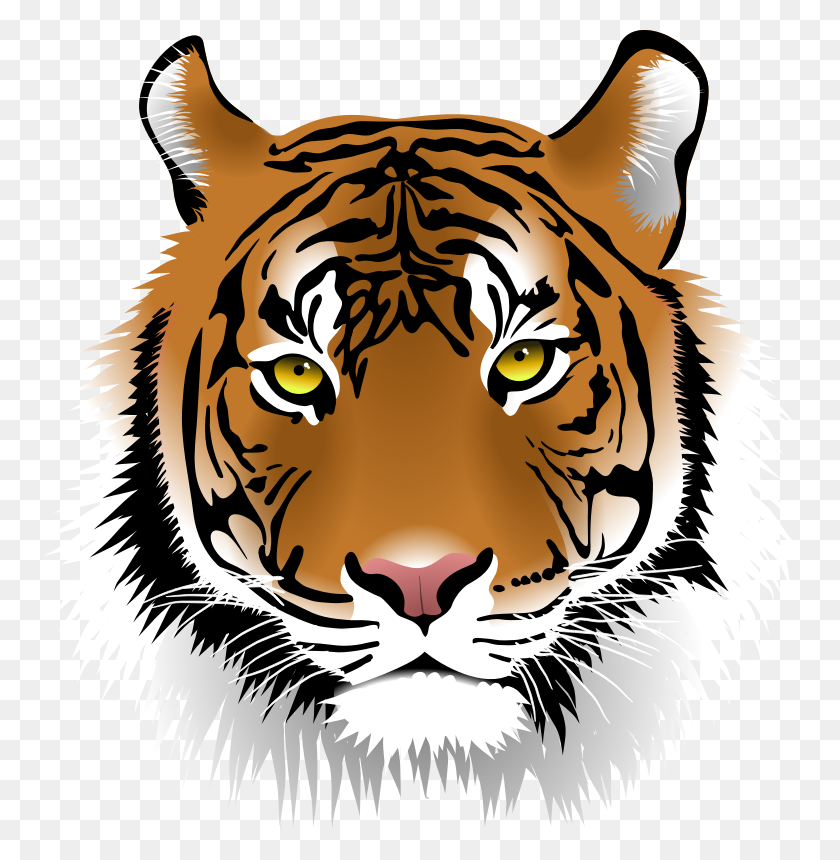 754x800 Whiskers Clipart Tiger - Leopard Face Clipart