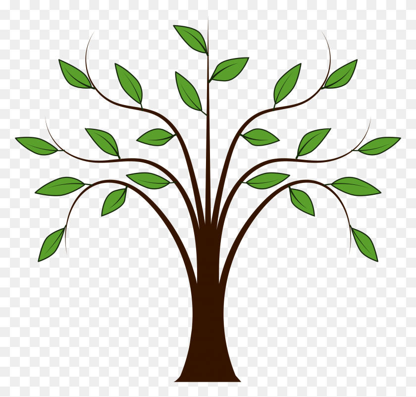 2350x2233 Whispy Tree Icons Png - Oak Tree PNG