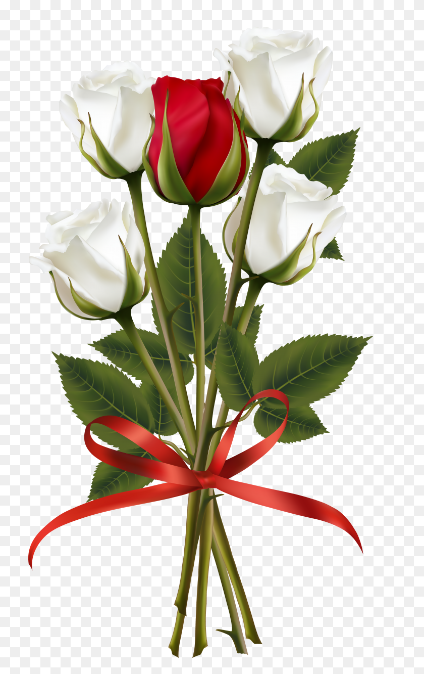 4288x7000 Png Букет Белых И Красных Роз Клипарт