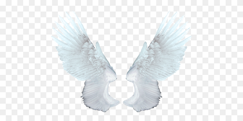 489x360 White Angel Wings Png - Angel Wings PNG