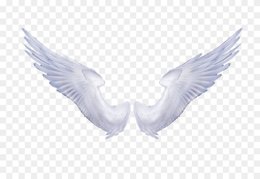 900x600 White Angel Wings Tattoo Hd Photo - Tattoo PNG Tumblr