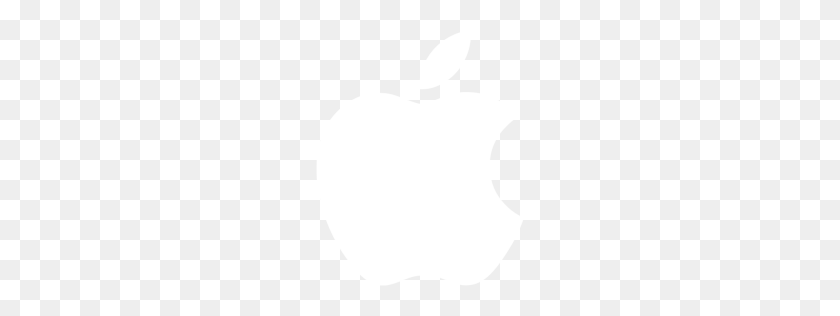 256x256 White Apple Icon - White Apple Logo PNG