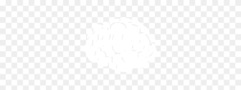 256x256 Icono De Cerebro Blanco - Icono De Cerebro Png