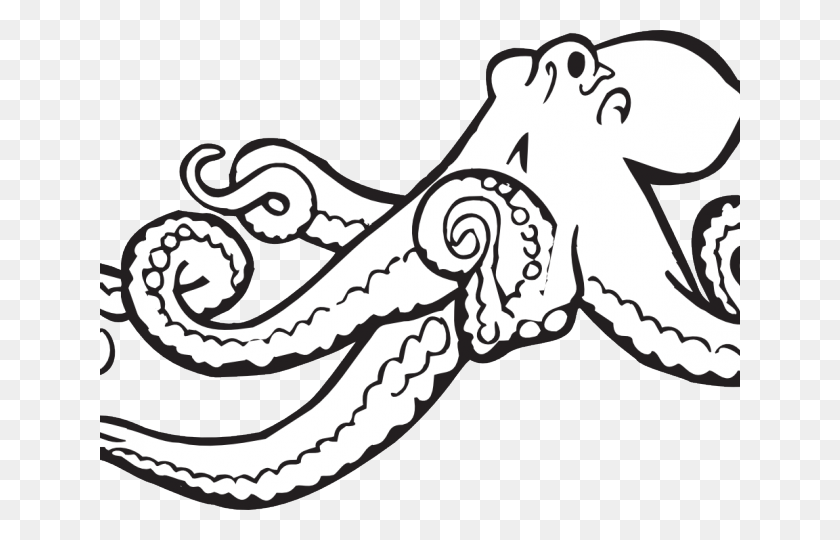 640x480 White Clipart Octopus - Octopus Clipart Black And White