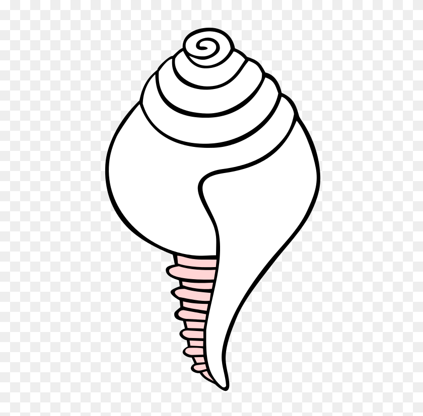 463x767 White Conch Symbol - Conch Shell Clip Art