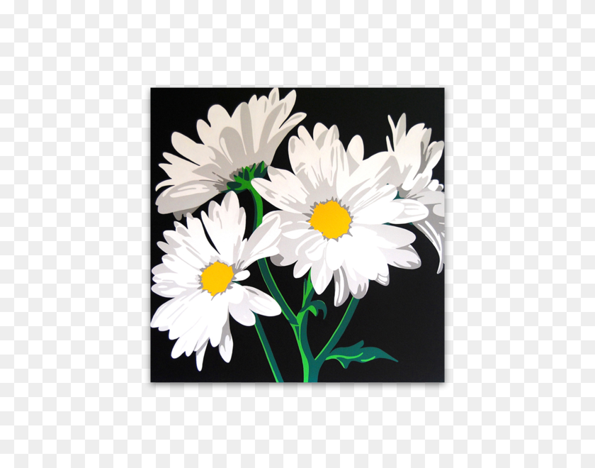 600x600 White Daisies Canvas River - White Daisy PNG