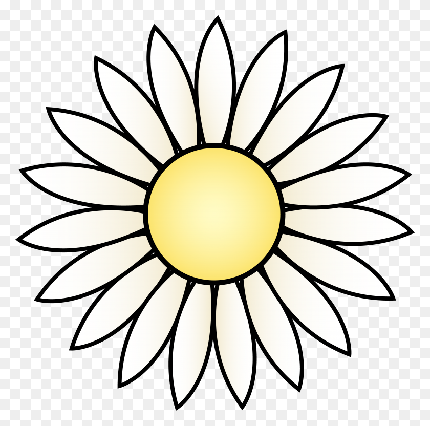 4948x4901 White Daisy Flower - Simple Flower Clipart