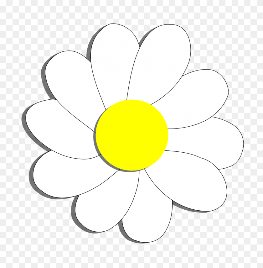 999x1019 White Daisy Flower Clipart All About Clipart - White Daisy PNG
